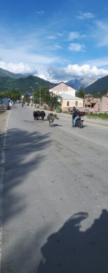 gruzja 1